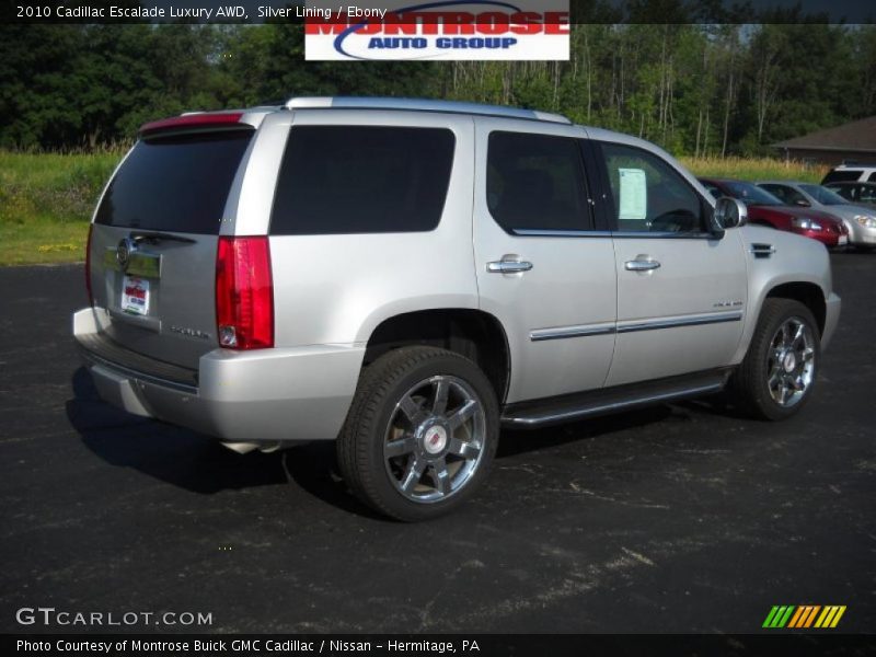 Silver Lining / Ebony 2010 Cadillac Escalade Luxury AWD
