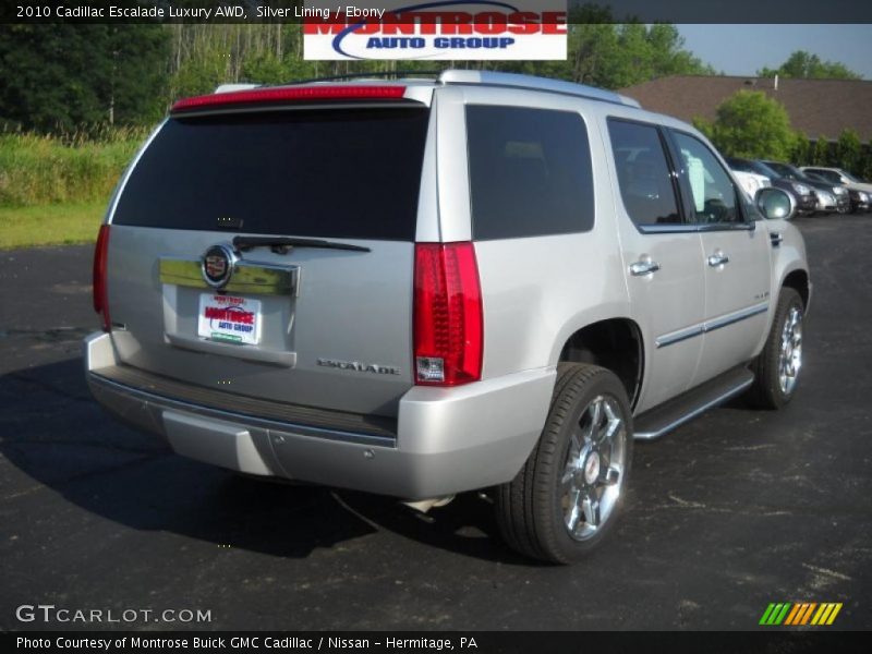 Silver Lining / Ebony 2010 Cadillac Escalade Luxury AWD