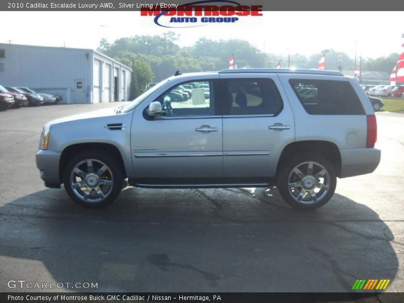 Silver Lining / Ebony 2010 Cadillac Escalade Luxury AWD