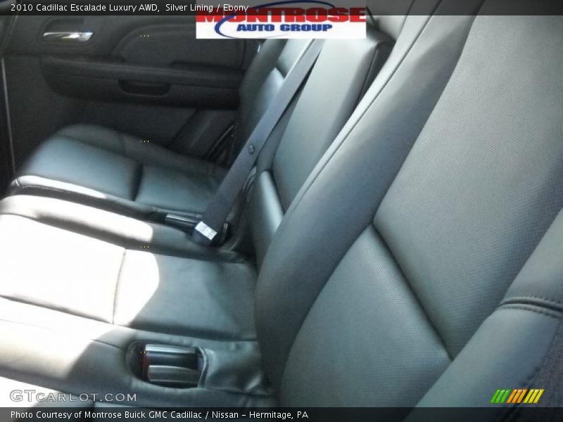 Silver Lining / Ebony 2010 Cadillac Escalade Luxury AWD