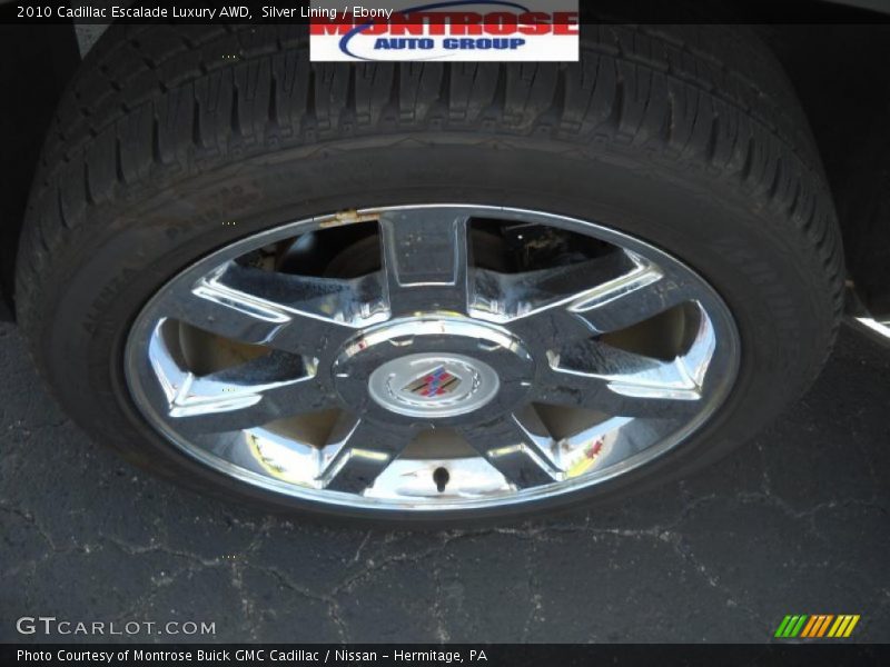 Silver Lining / Ebony 2010 Cadillac Escalade Luxury AWD