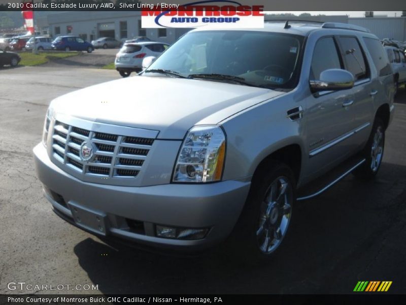 Silver Lining / Ebony 2010 Cadillac Escalade Luxury AWD