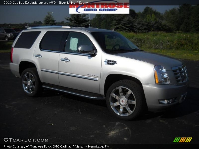 Silver Lining / Ebony 2010 Cadillac Escalade Luxury AWD