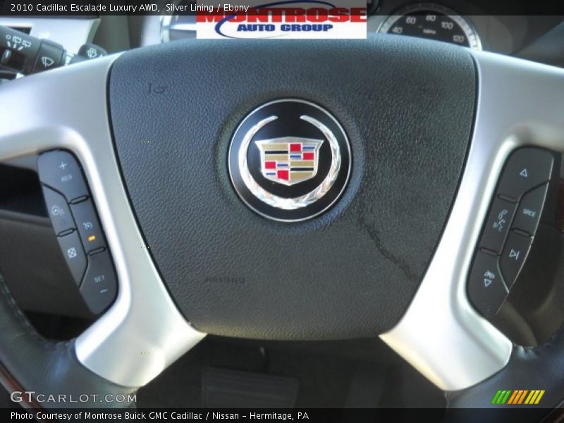 Silver Lining / Ebony 2010 Cadillac Escalade Luxury AWD