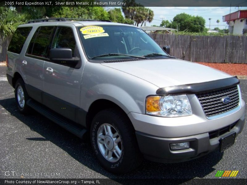 Silver Birch Metallic / Medium Flint Grey 2005 Ford Expedition XLT