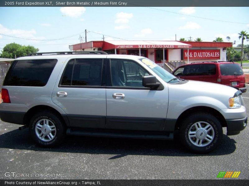 Silver Birch Metallic / Medium Flint Grey 2005 Ford Expedition XLT