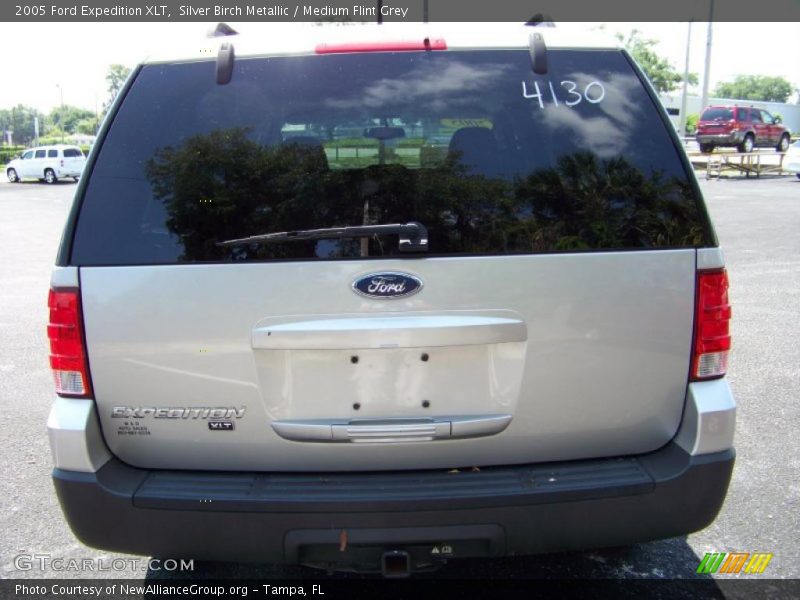 Silver Birch Metallic / Medium Flint Grey 2005 Ford Expedition XLT