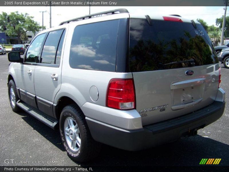 Silver Birch Metallic / Medium Flint Grey 2005 Ford Expedition XLT