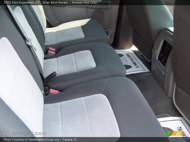 Silver Birch Metallic / Medium Flint Grey 2005 Ford Expedition XLT