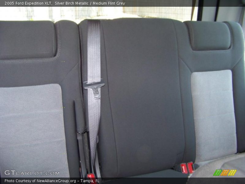 Silver Birch Metallic / Medium Flint Grey 2005 Ford Expedition XLT