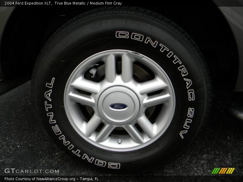 True Blue Metallic / Medium Flint Gray 2004 Ford Expedition XLT