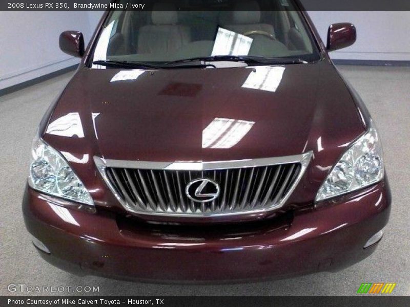 Brandywine Mica / Ivory 2008 Lexus RX 350