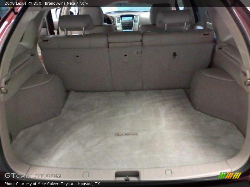 Brandywine Mica / Ivory 2008 Lexus RX 350