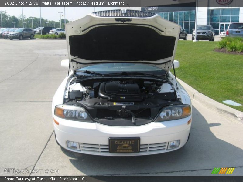 White Pearlescent Tricoat / Medium Parchment 2002 Lincoln LS V8