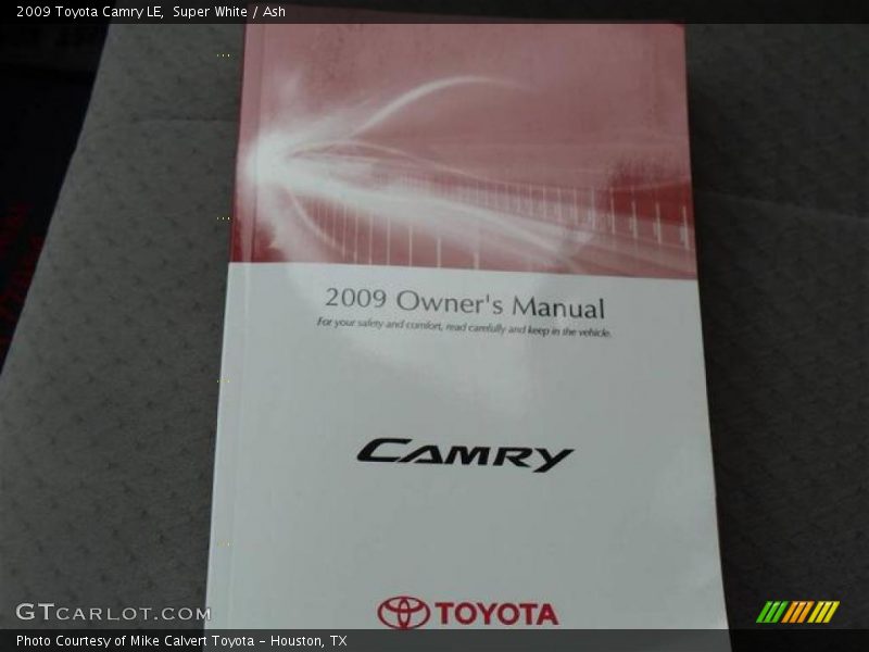 Super White / Ash 2009 Toyota Camry LE