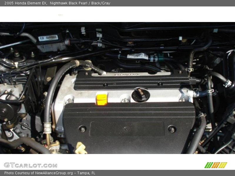 Nighthawk Black Pearl / Black/Gray 2005 Honda Element EX