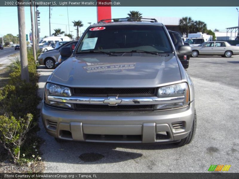 Light Pewter Metallic / Medium Oak 2002 Chevrolet TrailBlazer LS