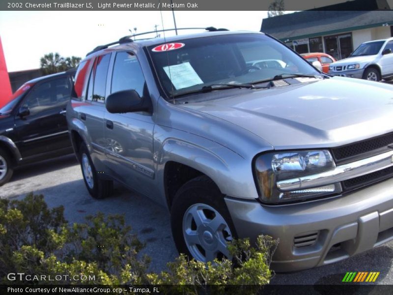 Light Pewter Metallic / Medium Oak 2002 Chevrolet TrailBlazer LS