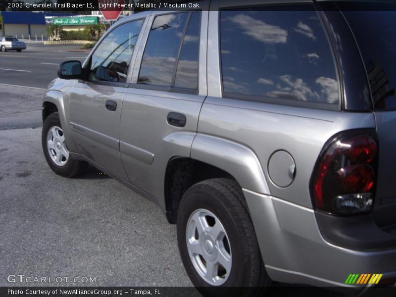 Light Pewter Metallic / Medium Oak 2002 Chevrolet TrailBlazer LS