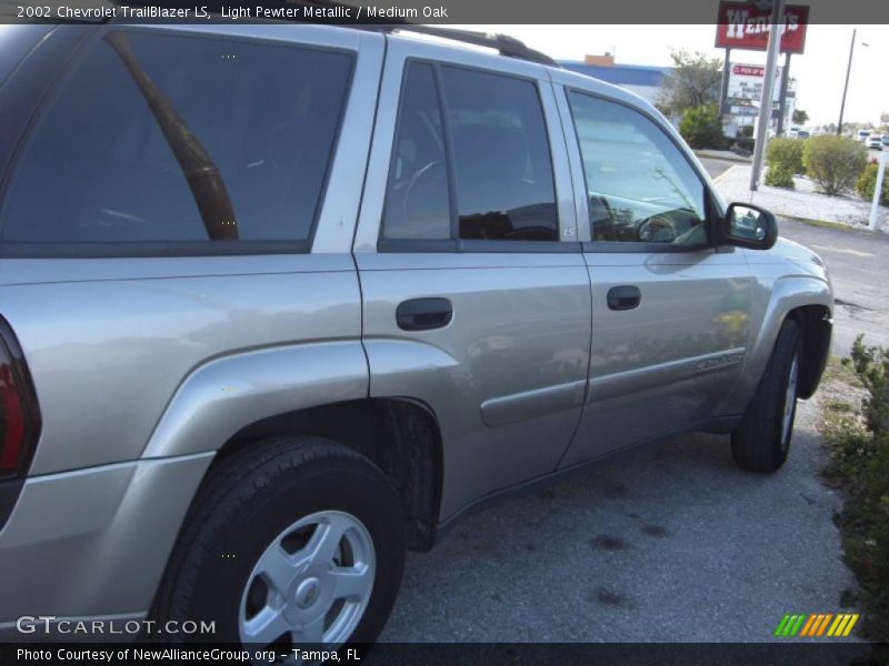 Light Pewter Metallic / Medium Oak 2002 Chevrolet TrailBlazer LS