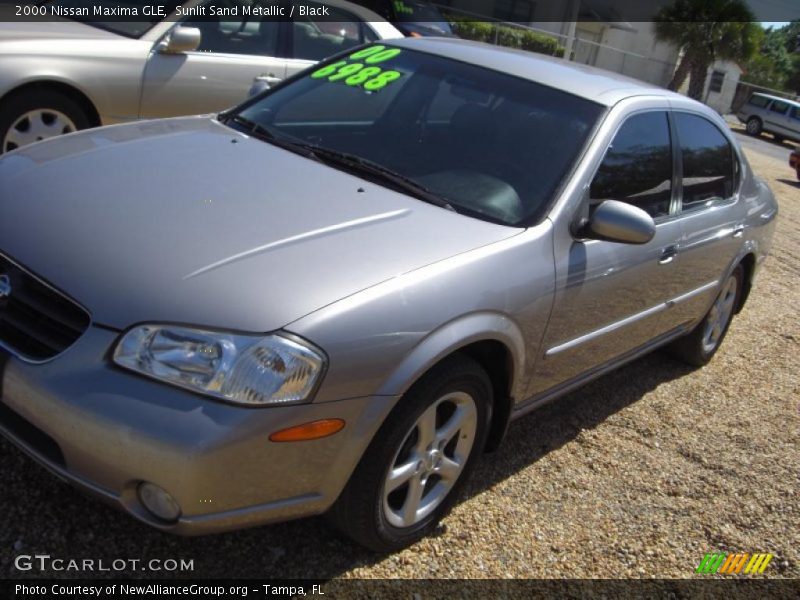 Sunlit Sand Metallic / Black 2000 Nissan Maxima GLE