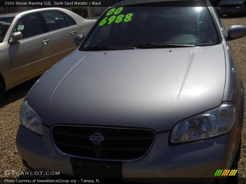 Sunlit Sand Metallic / Black 2000 Nissan Maxima GLE