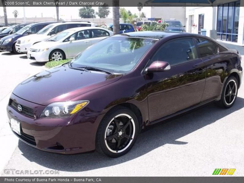 Black Cherry Pearl / Dark Charcoal Gray 2008 Scion tC