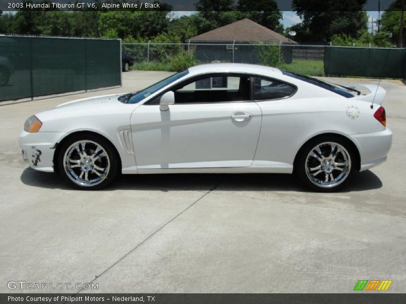 Alpine White / Black 2003 Hyundai Tiburon GT V6
