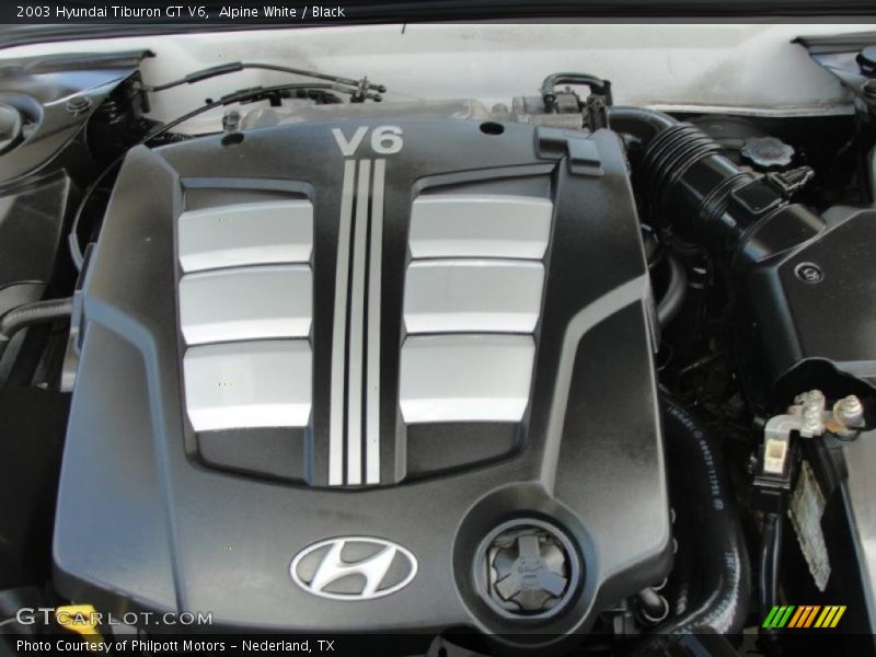 Alpine White / Black 2003 Hyundai Tiburon GT V6