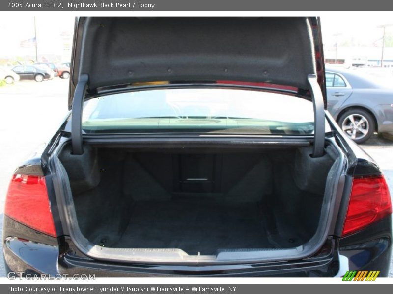 Nighthawk Black Pearl / Ebony 2005 Acura TL 3.2