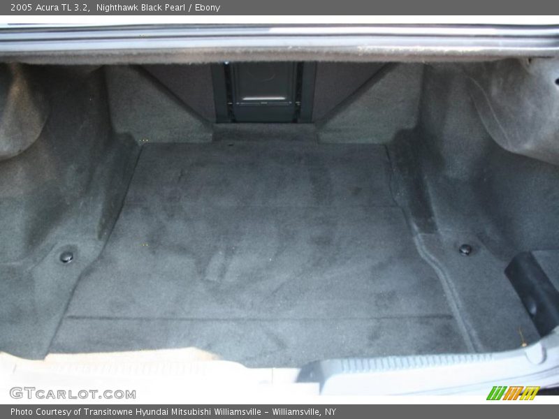 Nighthawk Black Pearl / Ebony 2005 Acura TL 3.2