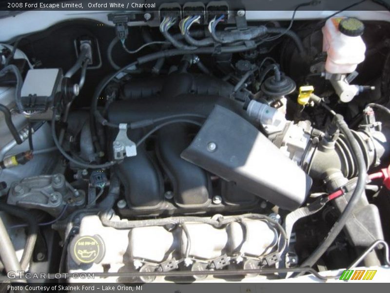 Oxford White / Charcoal 2008 Ford Escape Limited