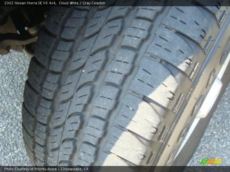 Cloud White / Gray Celadon 2002 Nissan Xterra SE V6 4x4