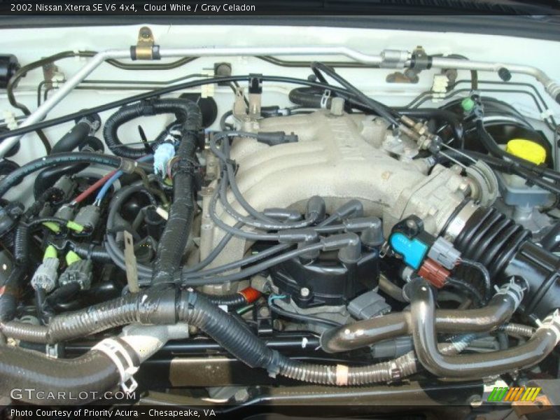 Cloud White / Gray Celadon 2002 Nissan Xterra SE V6 4x4