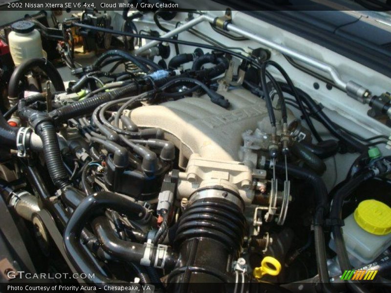 Cloud White / Gray Celadon 2002 Nissan Xterra SE V6 4x4