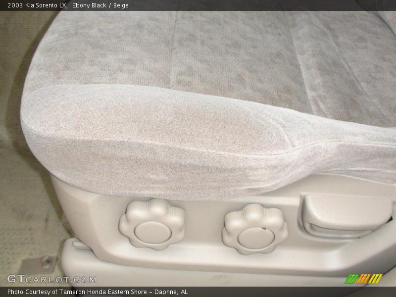 Ebony Black / Beige 2003 Kia Sorento LX