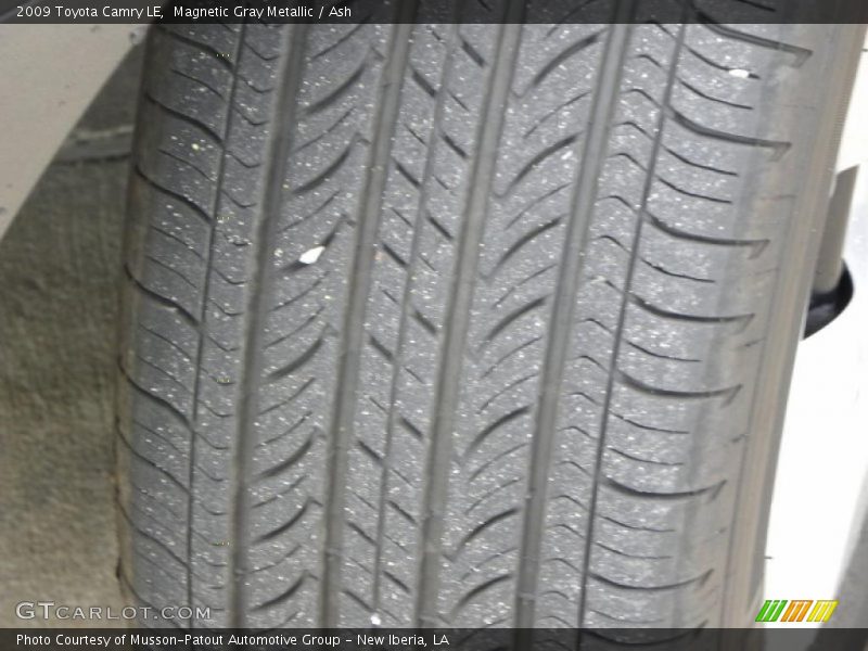 Magnetic Gray Metallic / Ash 2009 Toyota Camry LE