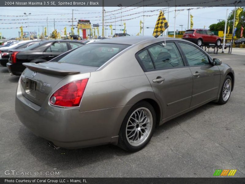 Spirited Bronze / Black 2004 Nissan Maxima 3.5 SE