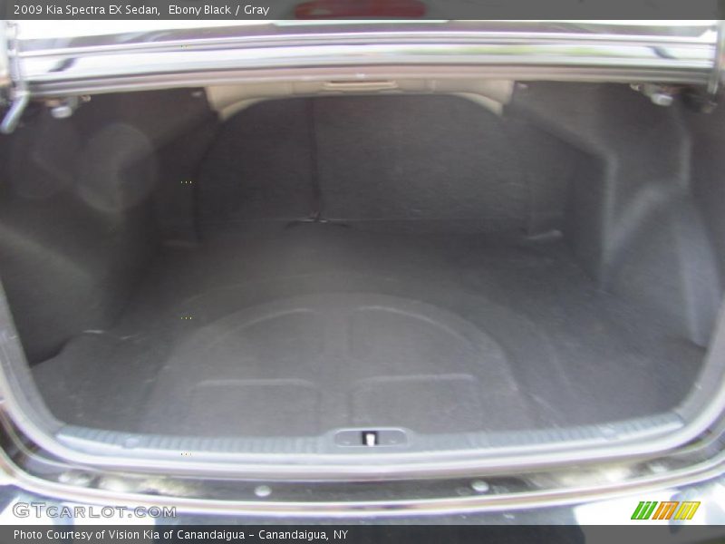 Ebony Black / Gray 2009 Kia Spectra EX Sedan