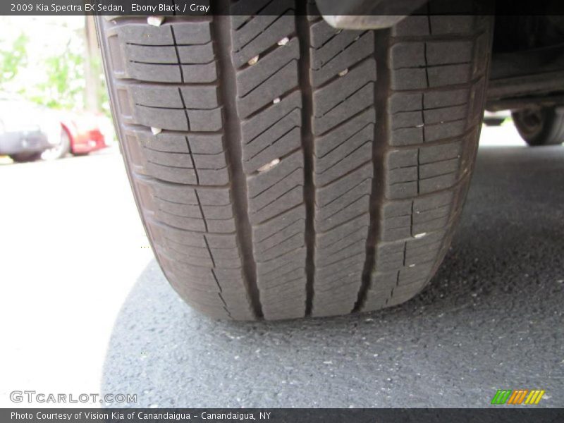 Ebony Black / Gray 2009 Kia Spectra EX Sedan