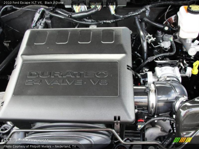 Black / Stone 2010 Ford Escape XLT V6