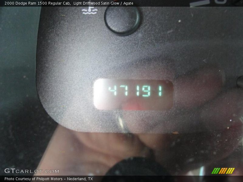 Light Driftwood Satin Glow / Agate 2000 Dodge Ram 1500 Regular Cab