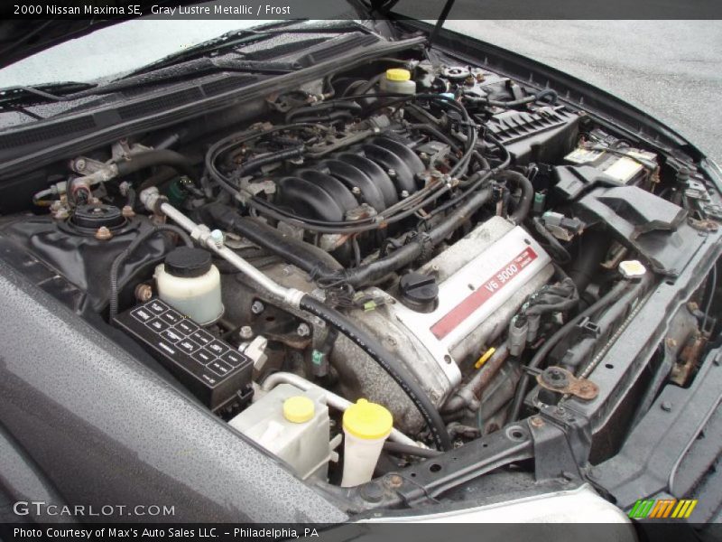 Gray Lustre Metallic / Frost 2000 Nissan Maxima SE