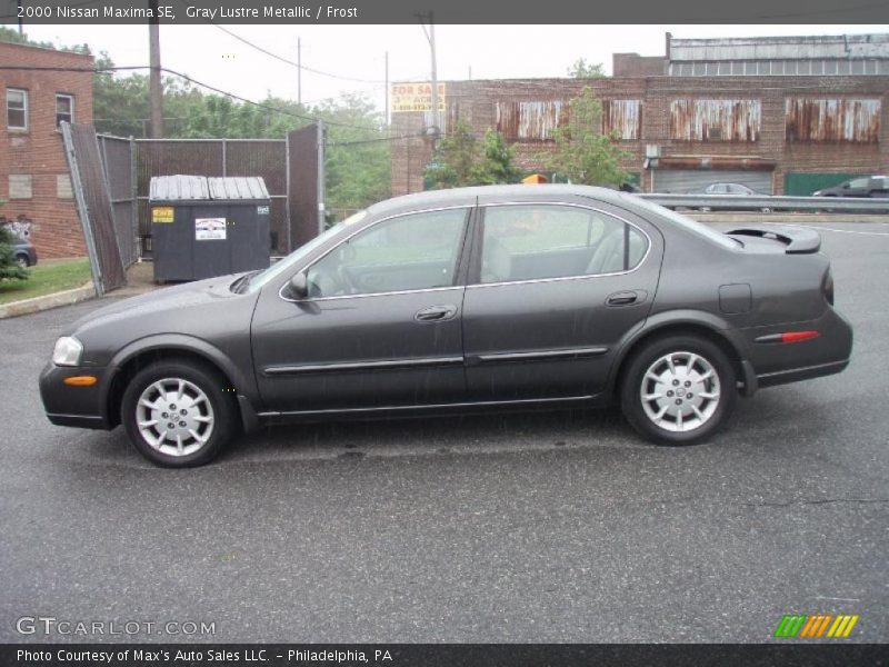 Gray Lustre Metallic / Frost 2000 Nissan Maxima SE