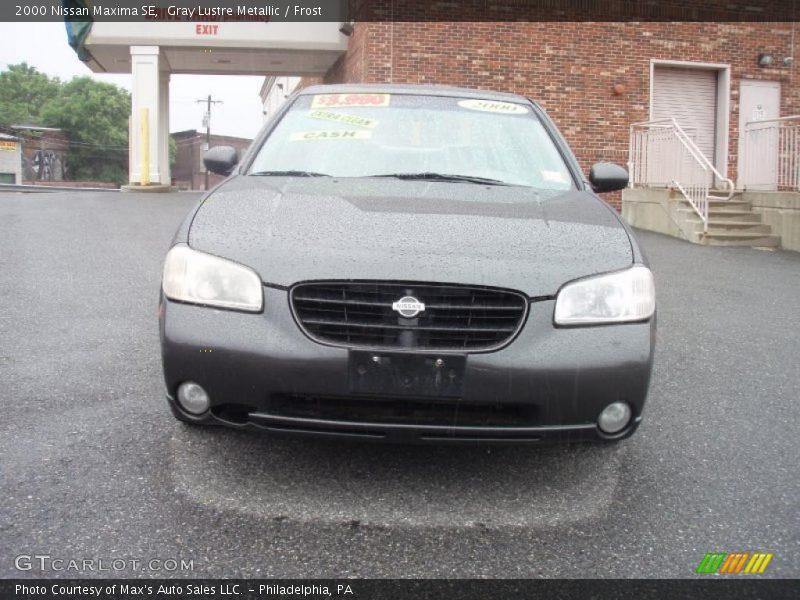 Gray Lustre Metallic / Frost 2000 Nissan Maxima SE