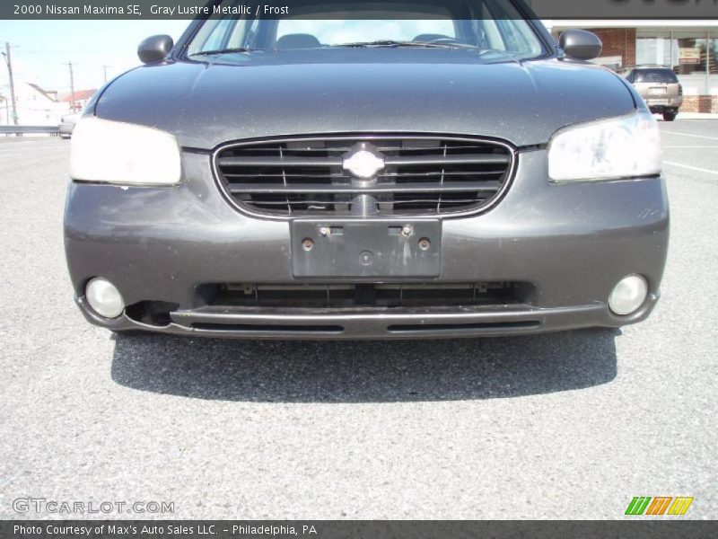 Gray Lustre Metallic / Frost 2000 Nissan Maxima SE