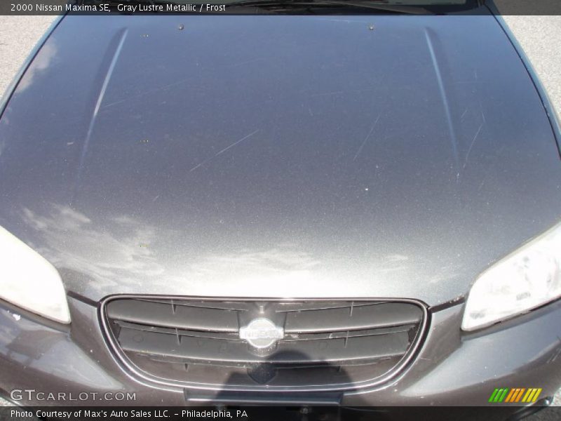 Gray Lustre Metallic / Frost 2000 Nissan Maxima SE