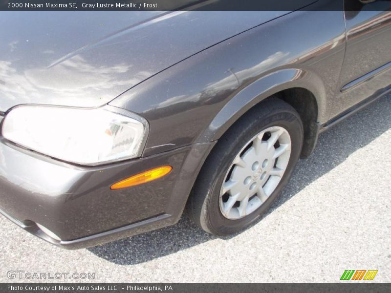 Gray Lustre Metallic / Frost 2000 Nissan Maxima SE