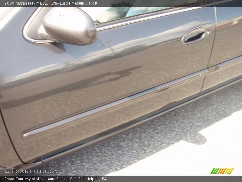 Gray Lustre Metallic / Frost 2000 Nissan Maxima SE