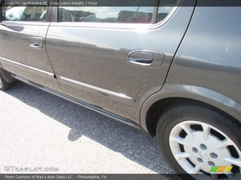 Gray Lustre Metallic / Frost 2000 Nissan Maxima SE